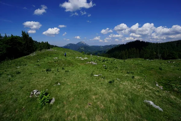 Wonderful Day Hiking Young Sporty Woman Hiking Alpine Meadow Austria — Stock Photo, Image