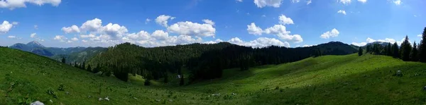Widok Panoramiczny Wspaniały Dzień Wędrówki Alpejska Sceneria Alpejska Łąka Austrii — Zdjęcie stockowe