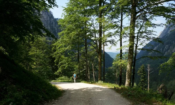 Sportliche Wanderin Auf Wanderweg Sport Reisen Und Aktives Lifestylekonzept — Stockfoto