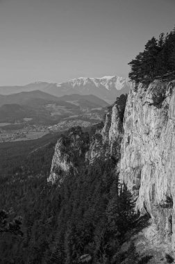 Aşağı Avusturya / Schneeberg 'deki en yüksek dağ / Siyah ve Beyaz / BW / Tek renkli çekim