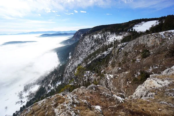 奥地利多雾的山地景观 美丽的山谷充满了晨雾 云雾笼罩的山脉在白雾之上 — 图库照片