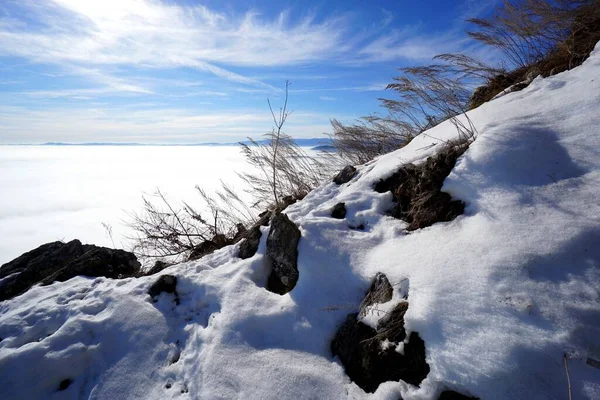 オーストリアのアルプスの素晴らしい冬の不思議の国 雲を見下ろす 雲の上の山 素晴らしいハイキング天気 完璧な冬の日 — ストック写真