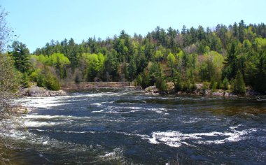Canadia Kayalıkları 'ndaki Vahşi Doğa Nehri Manzarası
