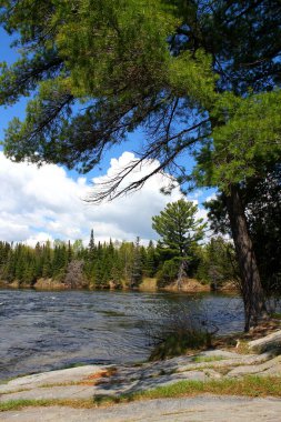 Canadia Kayalıkları 'ndaki Vahşi Doğa Nehri Manzarası