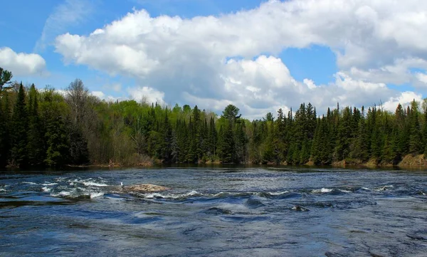 Paisagem Rio Natureza Selvagem Nas Montanhas Canadia — Fotografia de Stock