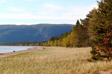 Superior Gölü 'ndeki güzel sahil ve yüksek çimenler / Ontario / Kanada