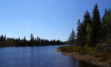 Tipik Kanada: Ontario / Kanada 'da güzel göl