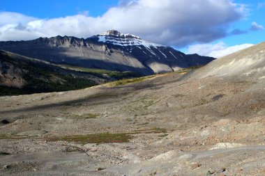 Banff ve Jasper Nationalpark 'taki Kanada Rocky Dağları' ndaki Columbia Buzulu / Athabsca Buzulu