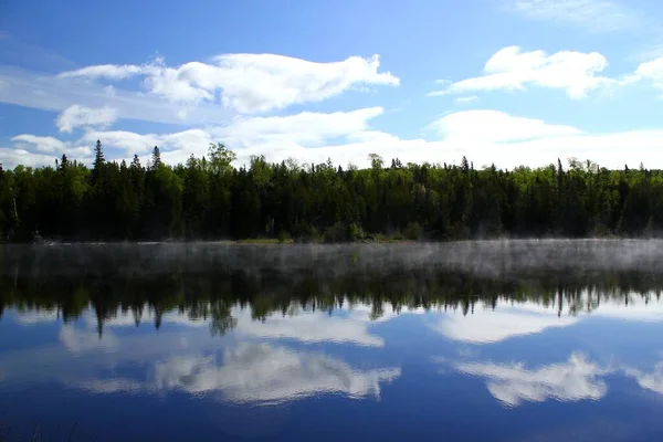 Réflexions Forêt Dans Petit Lac Canada — Photo