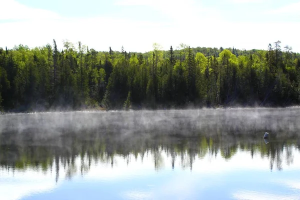 Réflexions Forêt Dans Petit Lac Canada — Photo