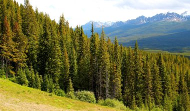 Tipik Kanada manzarası: Alberta 'daki Rocky Dağları - Banff ve Jasper Nationalpark