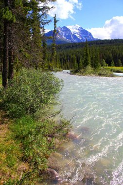 Tipik Kanada manzarası: Banff Nationalpark, Alberta, Kanada 'da Yeşil Orman, Vahşi Nehir ve dik dağlar