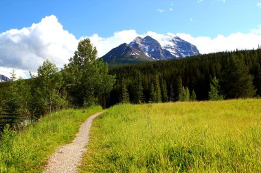 Kanada Rocky Dağları, Banff Ulusal Parkı, Alberta, Kanada 'daki kendine özgü dağ manzarasının güzel panoramik manzarası