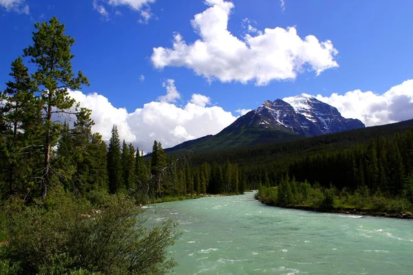 Υπέροχη Άγρια Ποταμός Στο Καναδικό Βραχώδη Όρη Αλμπέρτα Καναδάς — Φωτογραφία Αρχείου