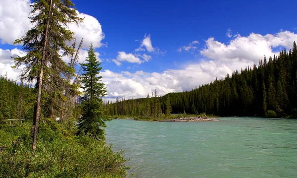 Maravilhosa Paisagem Canadense Nas Montanhas Rochosas Rio Selvagem Céu Azul — Fotografia de Stock