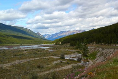 Harika bir panoramik manzara: Alberta, Kanada 'daki Jasper Nationalpark' ta geniş bir vadi. Seyahat ve macera kavramı.