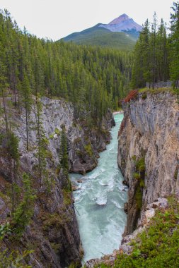 Kanada Alberta 'daki Icefields Parkway yakınlarında güzel bir kanyon.
