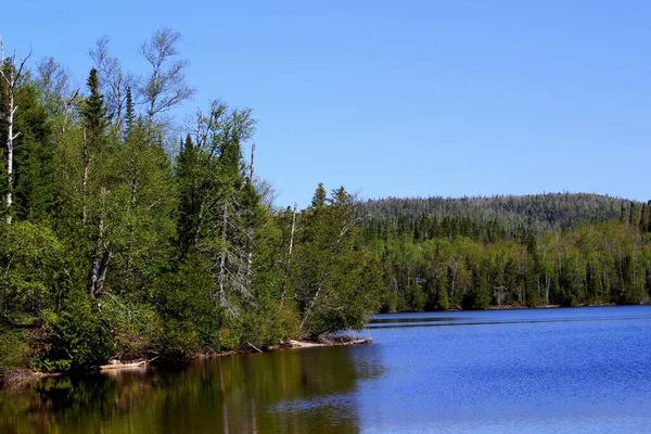 Typisch Kanada Schöner See Kanada Wald Und Klares Blaues Wasser — Stockfoto