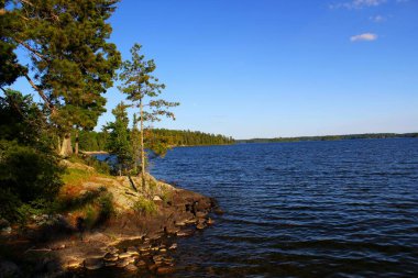 Göl manzarası - tipik Kanada manzarası: Güzel bir göl ve Kanada 'da açık mavi bir gökyüzü / Sioux Narrows Provincial Park