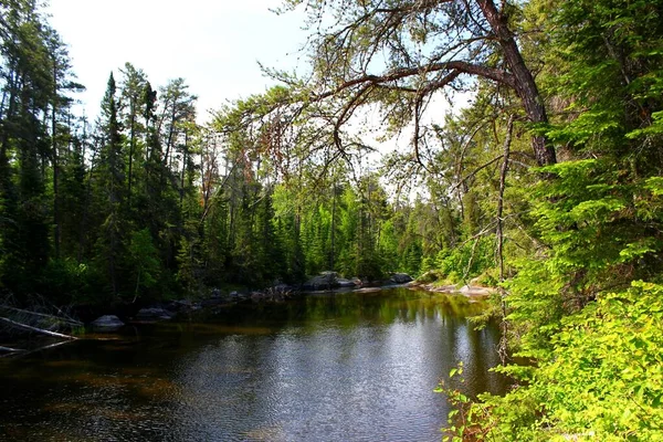 Paisaje Típico Canadiense Río Salvaje Ontario Canadá Baja Caída Rápidos — Foto de Stock