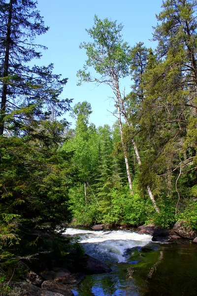 Paysage Typiquement Canadien Rivière Sauvage Ontario Canada Automne Dans Les — Photo