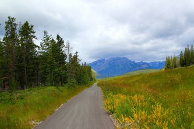 Kanada Alberta 'da Banff yakınlarında bisiklet yolu