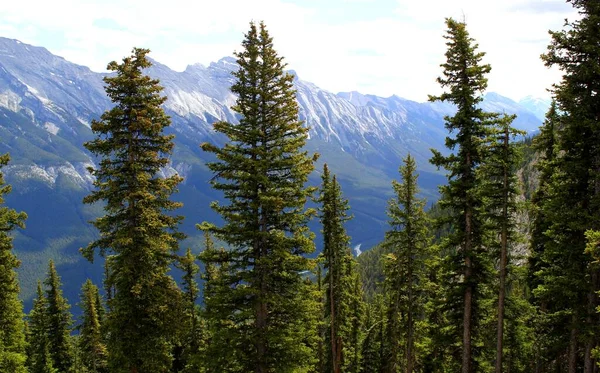 Canadian Wilderness Wild Adventurous Valley Canadian Rocky Mountains Banff Alberta — Foto de Stock