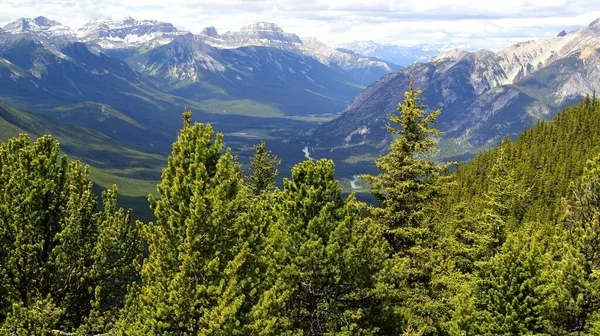 Kanadische Wildnis Wildes Und Abenteuerliches Tal Den Kanadischen Rocky Mountains — Stockfoto