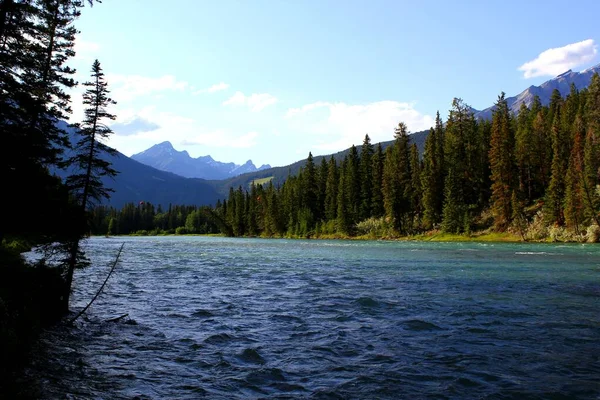 Река Блю Боу Банфском Национальном Парке Альберта Канада — стоковое фото