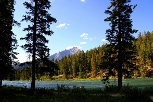 Cascade Mountain Mint Part Bow Folyó Banff Nemzeti Park Alberta — Stock Fotó