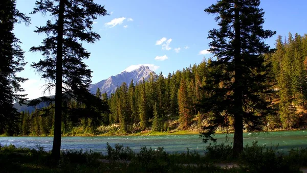 Gyönyörű Folyó Banff Nemzeti Park Alberta Kanada Utazási Kaland Idegenforgalmi — Stock Fotó