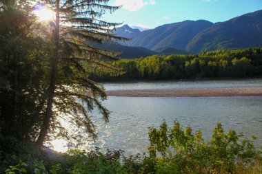 Skeena Nehri, British Columbia, Kanada 'da Yellowhead Highway yakınlarında. Spor, Seyahat ve Doğa Konsepti. Balık tutmak için harika bir yer..