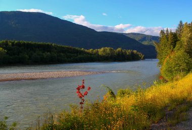 Harika Skeena Nehri Terrace yakınlarındaki bir vadide, British Columbia, Kanada