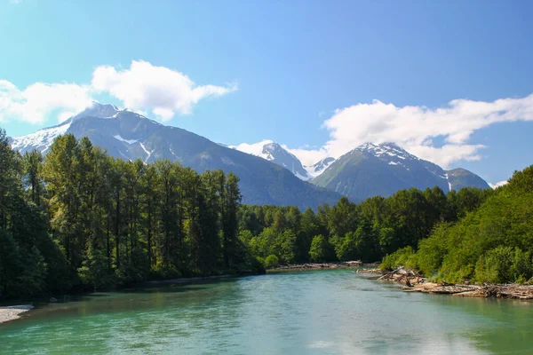 Natureza Remota Bonita Rio Skeena Colúmbia Britânica Canadá — Fotografia de Stock