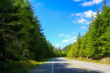Vancouver Adası Otoyolu