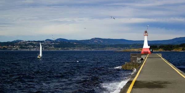 Wild Sea Lighthouse Breakwater Ogden Point Victoria Βρετανική Κολομβία Καναδάς Εικόνα Αρχείου