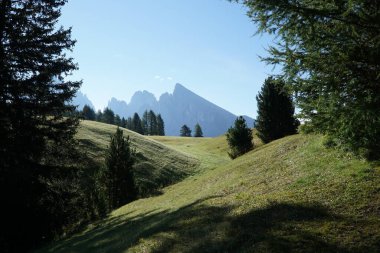 Dolomitlerdeki ünlü Alpe di Siusi 'de güzel tepeler ve çayırlar, Güney Tyrol, İtalya. Kendine özgü Sasso Piatto 'ya bak, Langkofel Dağı.. 