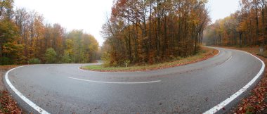 Virajlı yol: Güzel sonbahar manzarasında uzun kıvrımlı orman yolu. Kleiner Aşağı Avusturya 'da semmering