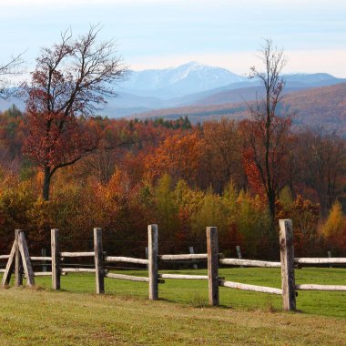 Atmosferik sonbahar manzarası: Aşağı Avusturya 'daki belirgin Schneeberg' e bakın