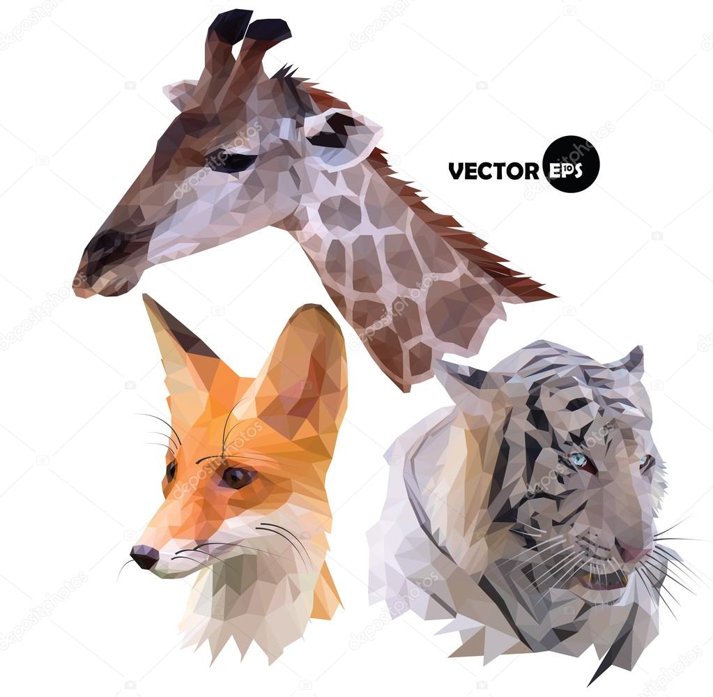Set of portraits of wild animals a giraffe, white tiger, red Fox realistic in polygonal, low poly, origami style. vector illustration