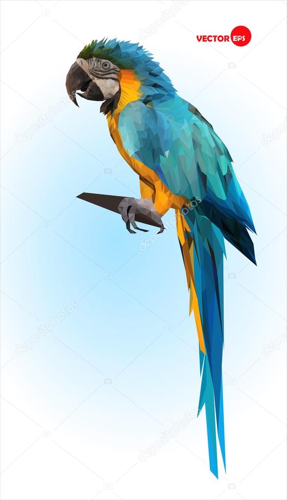 Blue and yellow parrot, macaw. Brazilian Ara.  Big wild tropical bird, Parrot sitting on a wooden branch on a blue blurred background. Animals in the zoo. Design in the polygonal style