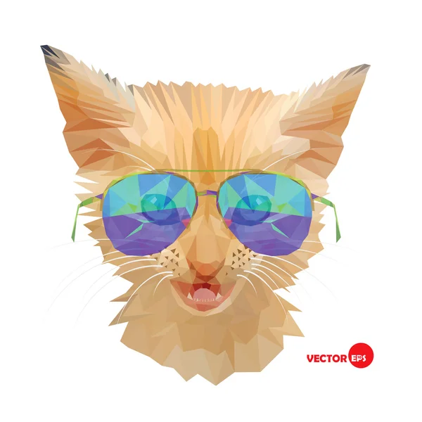 Gato, Sr. Gato retrato de gatito de moda roja en gafas de sol, estilo urbano hipster. Divertido boceto de animales para imprimir y diseñar para libros, tarjetas, dibujos animados, camisetas. Agente Gato Rojo, colección — Vector de stock