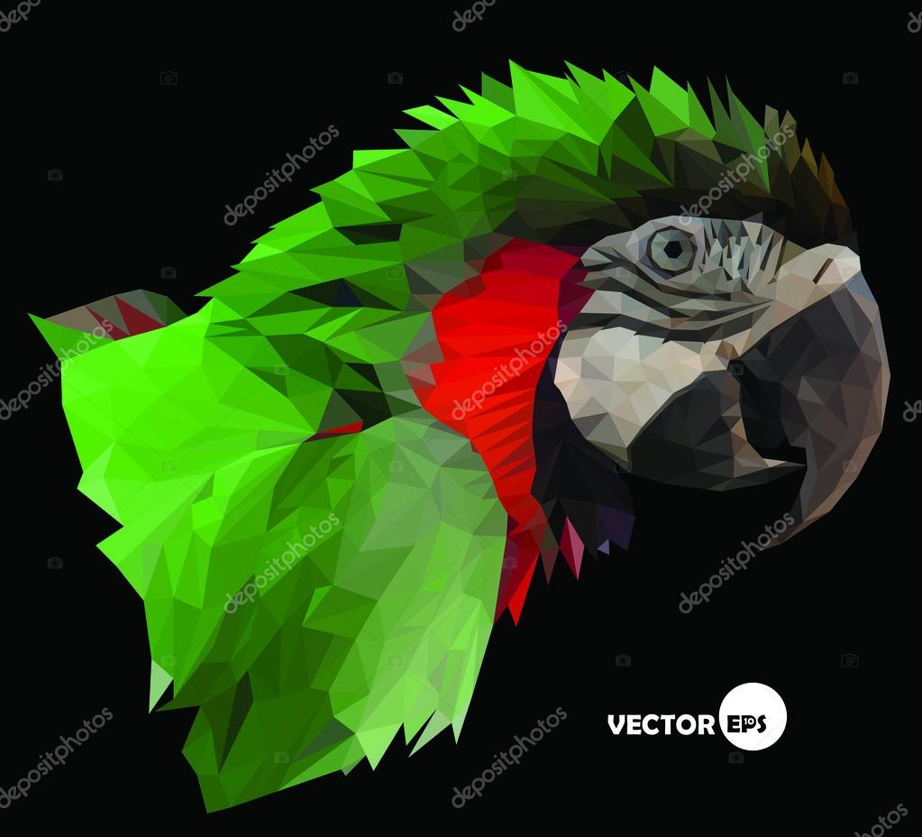 Colorful  macaw parrot head on black background, abstract in low polygon style, vector illustration