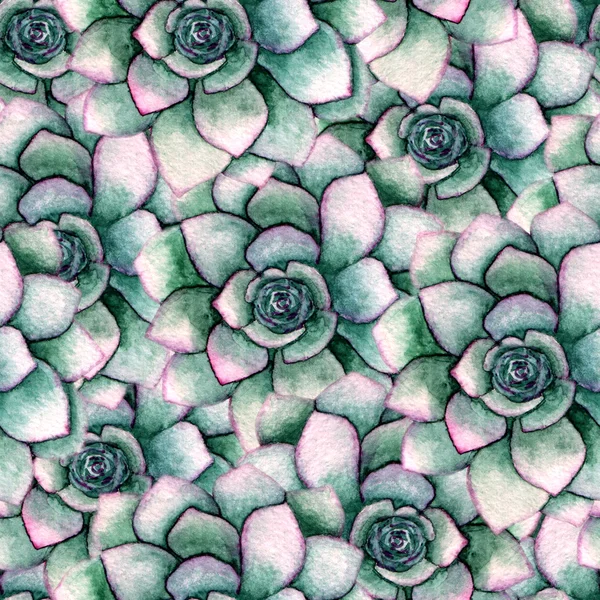 Sulu Boya Dikişsiz botanik desen succulents ile