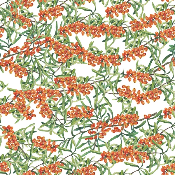 Deniz topalak beyaz bir arka plan üzerinde Şubesi ile Seamless modeli. Suluboya