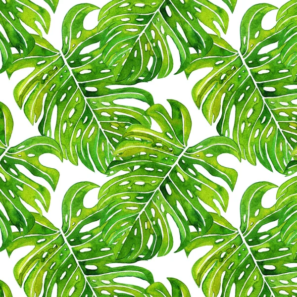 Egzotik yaprakları, yağmur ormanları. Dikişsiz, el boyalı, suluboya desen.
