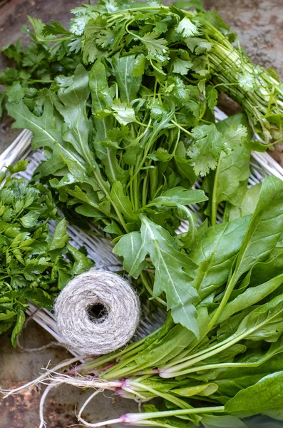 Farklı taze otlar yığını. Maydanoz, kişniş, SPI