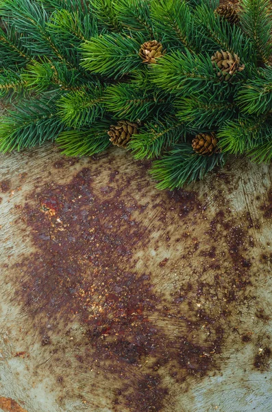 Rustik Noel arka plan ile Noel ağacı dalı