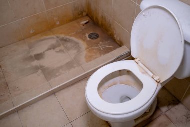 Kirli banyo, yerde liken lekeleri, klozet kapağı ve kapağı. Kirli lekeler her gün yüzey yapış yapış olduğu için meydana gelir..