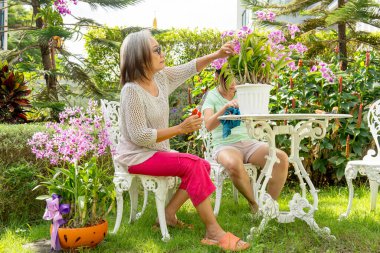 Asyalı son sınıf öğrencisiyle oturan kadının yan görünüşü, arkadaşının bahçesindeki saksıdaki saksıdaki bitki ve çiçekleri budamak için makas kullanması..
